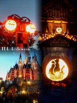 TDL�ϥ����������