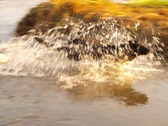 2009 10 28 �ѡ����ή��-3