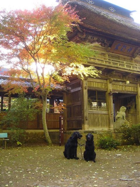 2009 10 22 ��ͻ�