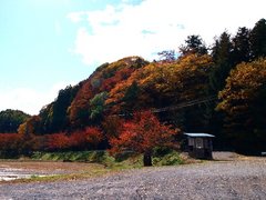 2009 010 27 ƶ����