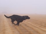 2009 11 08 ̸����ή������