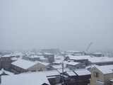 07a87d9a.jpg