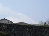 1723d346.jpg