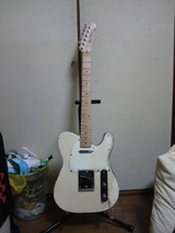 06044389.jpg