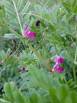 5630b429.jpg
