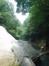2005/07/23 ��ë��3