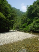2005/07/23 ��ë��1