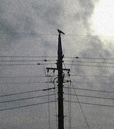 b3c48994.jpg