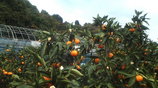 38f3f72c.jpg