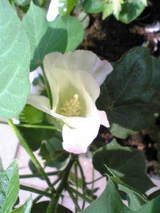 4b2c5763.jpg