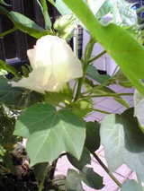 6f028ec8.jpg