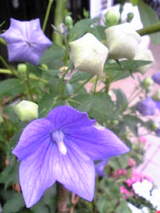 9c936408.jpg