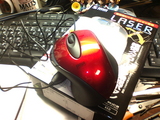 mouse