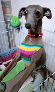 图片点击可在新窗口打开查看