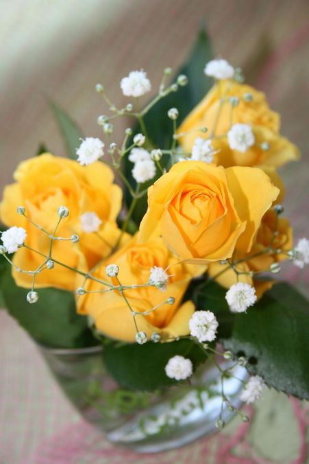 「幸せの」黄色い薔薇の花！！！
