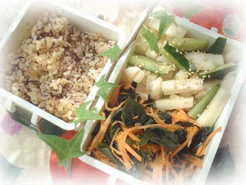 シャキシャキ弁当
