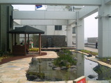 屋上庭園