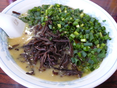2008/4_�ߤ���2
