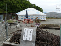 2008/5_�ϤӤ��Τۤ�Ƥ�
