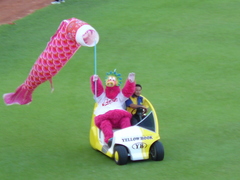 2008/9_��̱���5