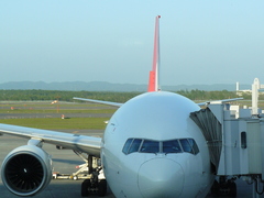 2008/6_���