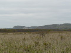 2008/5_釧路湿原道路1