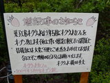 2007/4_���������å�3