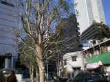 2007/2_東池袋大勝軒5