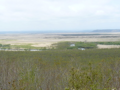 2008/5_釧路湿原細岡4