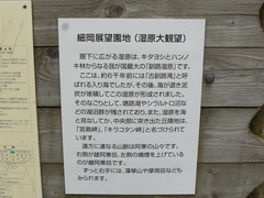 2008/5_釧路湿原細岡3