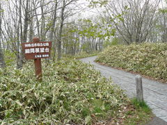 2008/5_釧路湿原細岡1