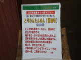2007/1_���_����˥塼