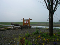 わくう:看板