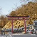 images41