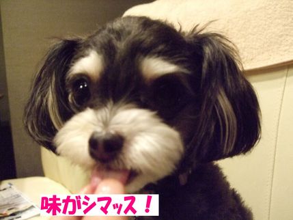 味がする