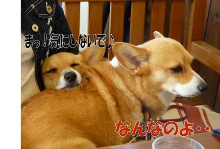 µ¤¤Ë¤·¤Ê¤¤¡¦¡¦ŽÜ޶ŽÁŽº