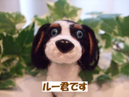 ルー君