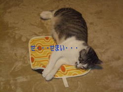 せまい