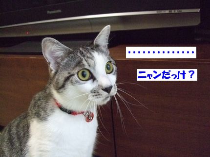 なんだっけ