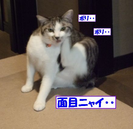 ÌÌÌܤʤ¤