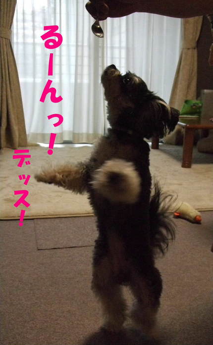 �롼��