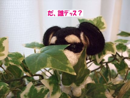 だれ