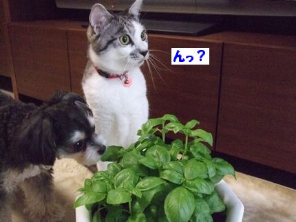 ん?