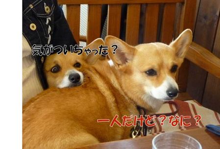 µ¤¤¬¤Ä¤¤¤¿¡©