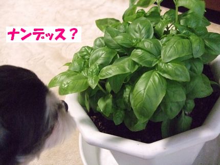 なに