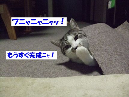 完成
