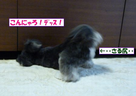 ¤³¤ó¤Ë¤ã¤í