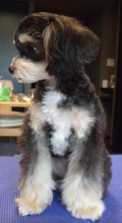 ����