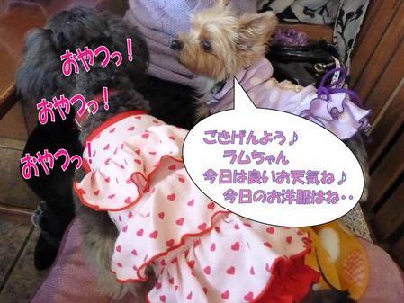 ¤´¤¤²¤ó¤è¤¦