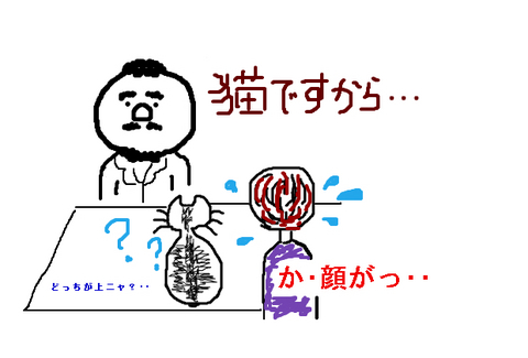 BlogPaint